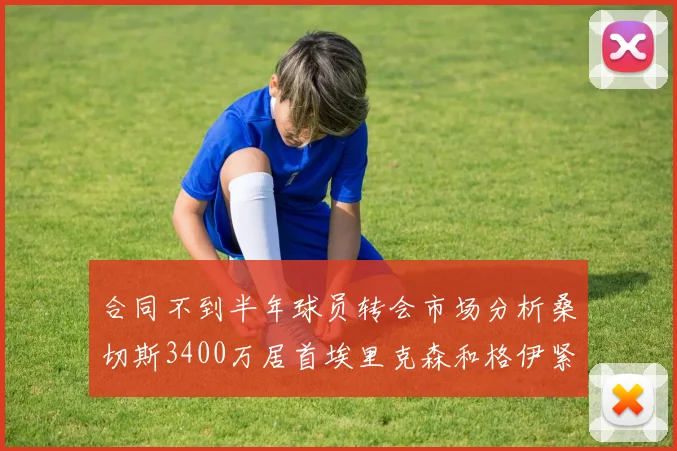 合同不到半年球员转会市场分析桑切斯3400万居首埃里克森和格伊紧随其后