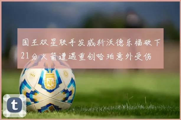 国王双星联手发威科沃德乐福砍下21分火箭遭遇重创哈珀意外受伤